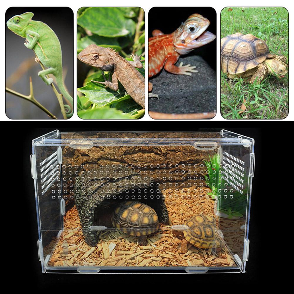 Terrarium For Pet Snails (Snailarium) Transparent Acrylic Magnetic