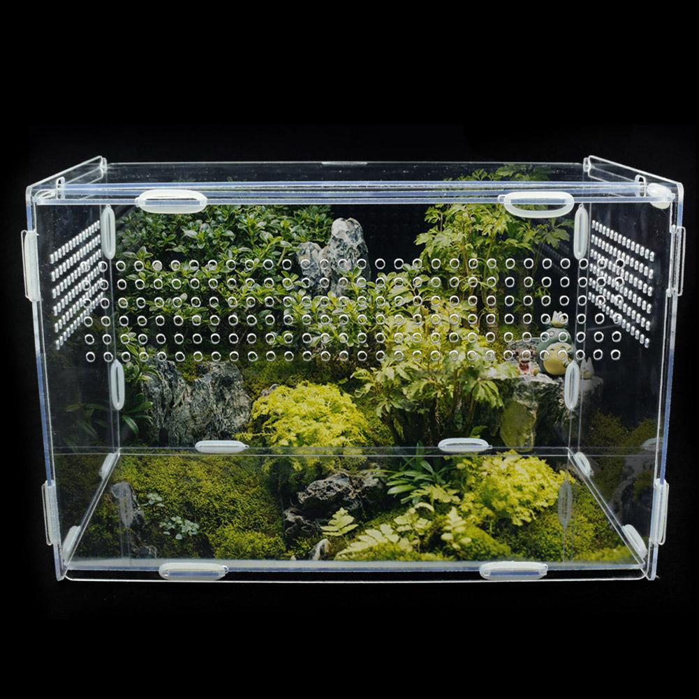 Terrarium For Pet Snails (Snailarium) Transparent Acrylic Magnetic