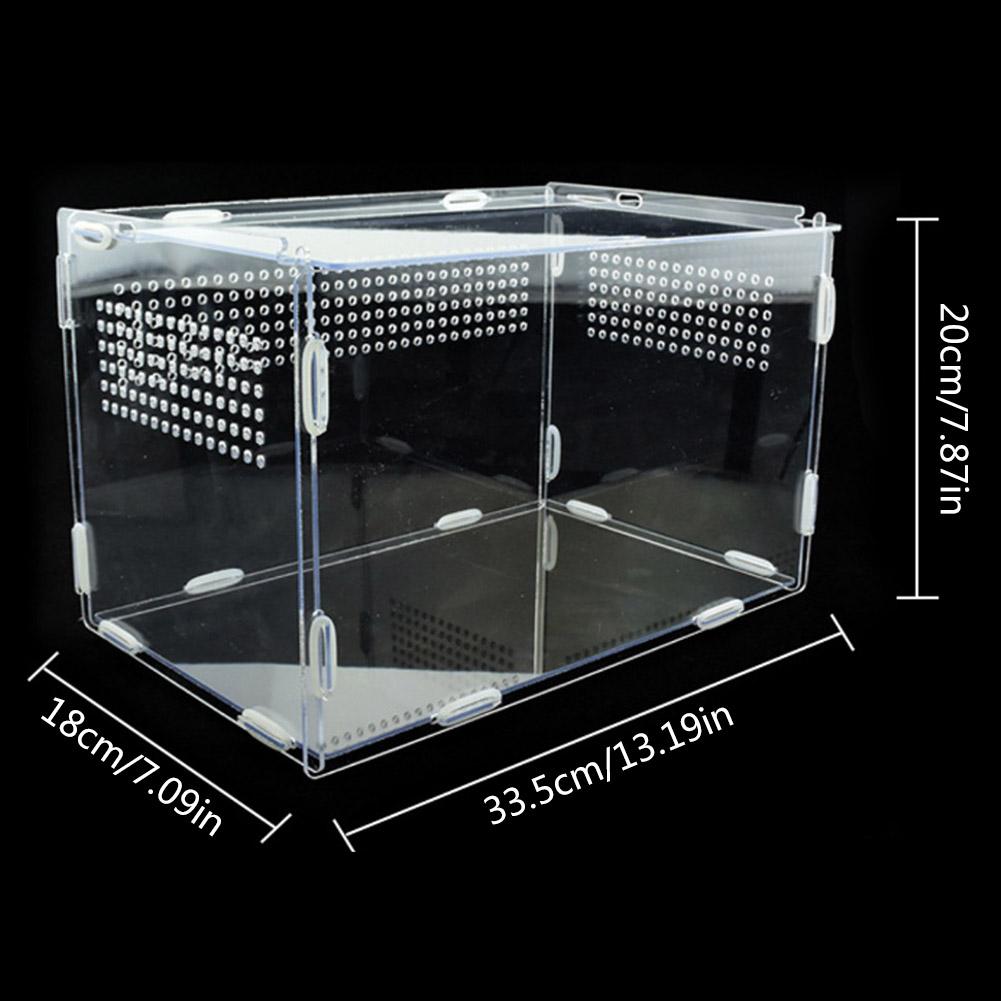 Terrarium For Pet Snails (Snailarium) Transparent Acrylic Magnetic