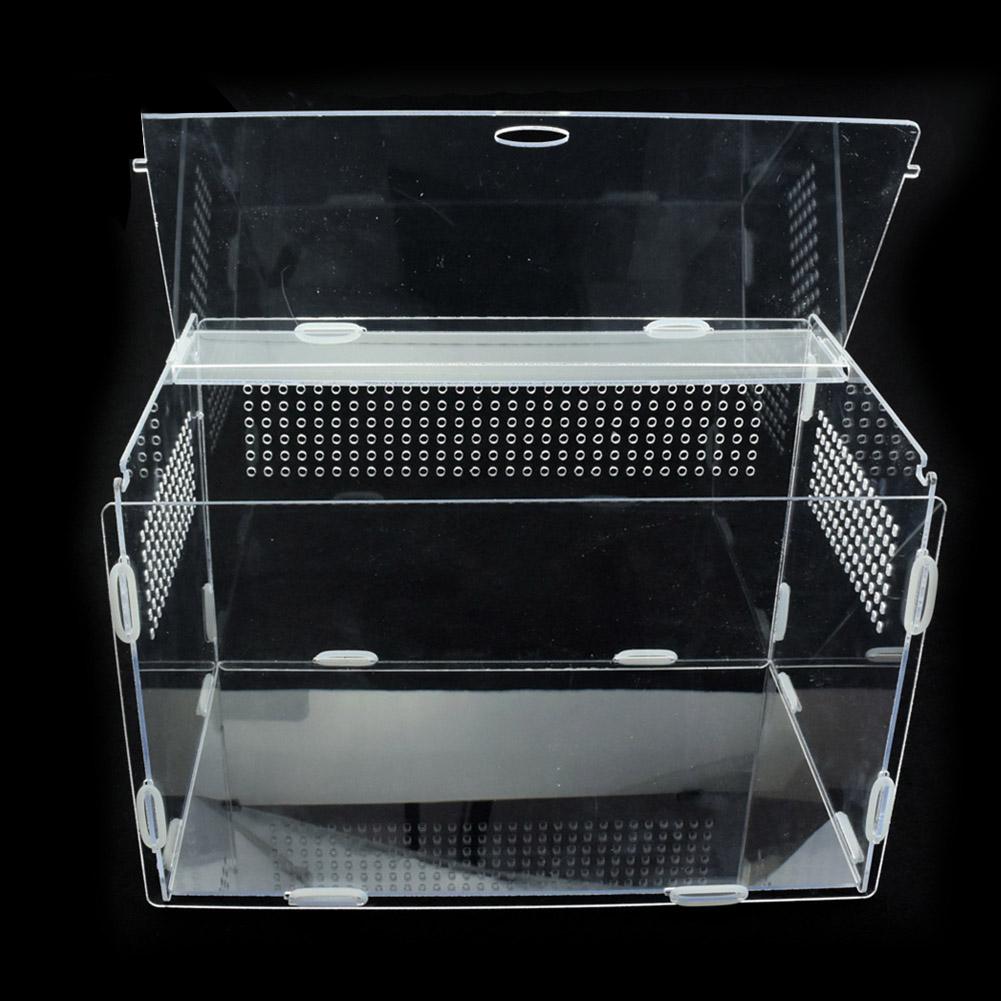 Terrarium For Pet Snails (Snailarium) Transparent Acrylic Magnetic ...