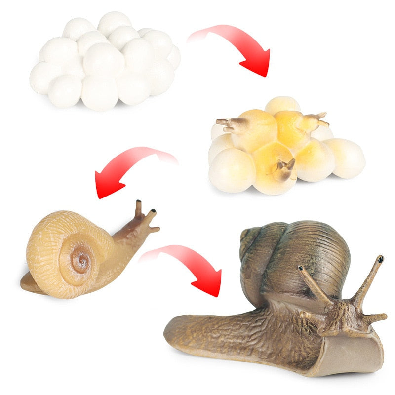Αdorable Snail's Simulation - Ornaments Kids Educational