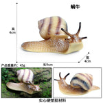 Αdorable Snail's Simulation - Ornaments Kids Educational